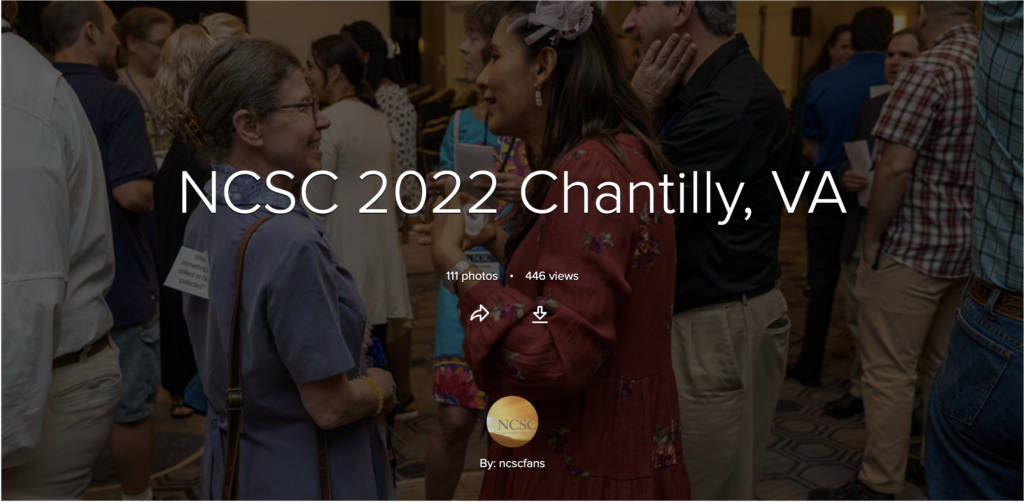 NATIONAL CATHOLIC SINGLES CONFERENCE 2022 visual data 7
